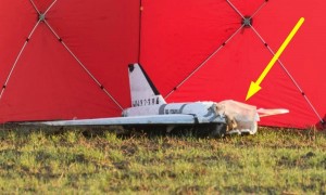 波兰出兵乌克兰，4万大军堵俄罗斯家门口，以无人机为由，军事介入俄乌冲突！