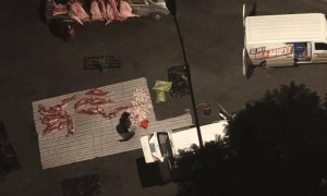 成都街头凌晨惊现“流动猪肉摊”，一群人在路边地上剁猪肉为摊贩供货，当地回应